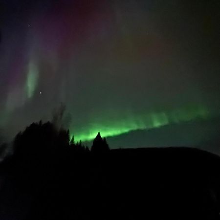 Ett Hus Med 3 Sovrum Med Supersnabba Internet Fiberanslutningen 1000Mb-100Mb I Hoeg, 7 Minuter Fran Hudiksvall Bagian luar foto