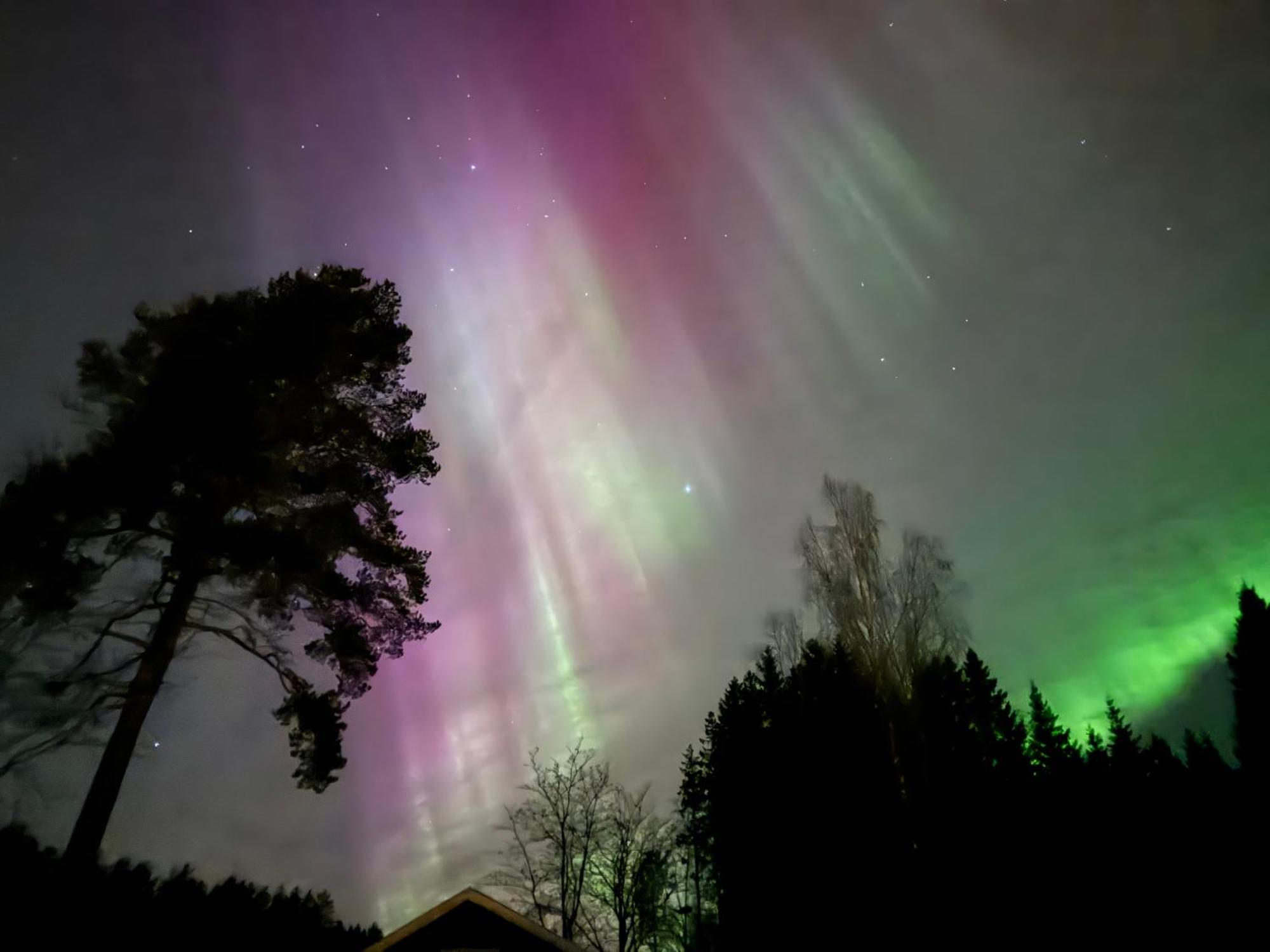 Ett Hus Med 3 Sovrum Med Supersnabba Internet Fiberanslutningen 1000Mb-100Mb I Hoeg, 7 Minuter Fran Hudiksvall Bagian luar foto