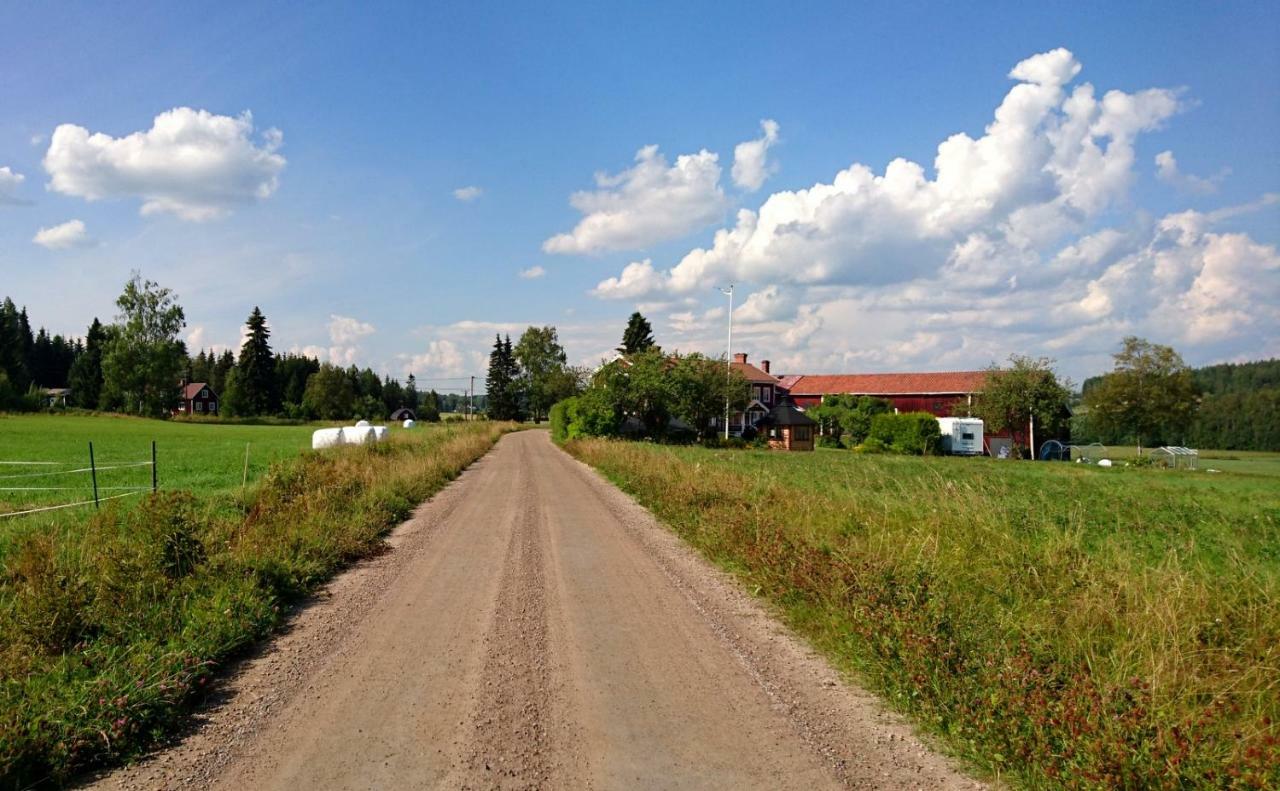 Ett Hus Med 3 Sovrum Med Supersnabba Internet Fiberanslutningen 1000Mb-100Mb I Hoeg, 7 Minuter Fran Hudiksvall Bagian luar foto