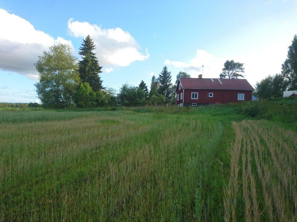 Ett Hus Med 3 Sovrum Med Supersnabba Internet Fiberanslutningen 1000Mb-100Mb I Hoeg, 7 Minuter Fran Hudiksvall Bagian luar foto